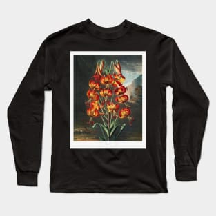 The Superb Lily Long Sleeve T-Shirt